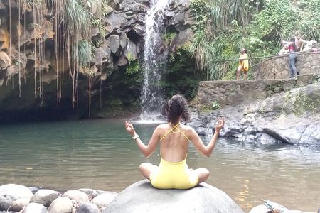 Private Annandale Waterfall & Forest Park Tour in Grenada