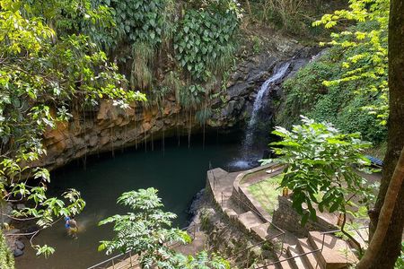 Discover the Magic of Annandale Waterfall & Forest Park