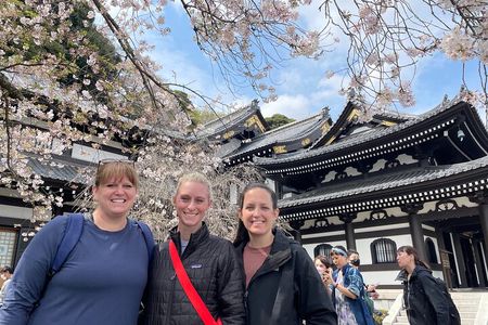 Kamakura Private Tour: Temples, Nature, and the Great Buddha