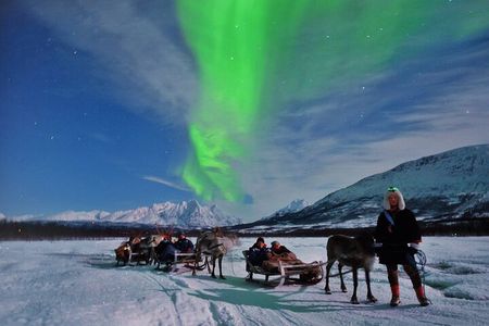 Reindeer Sledding and Feeding with Chance of Northern Lights Tromso