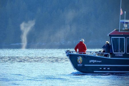 Salish Sea Whale Watching Tour in Campbell River