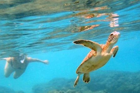 Private Rincon Snorkeling Adventure