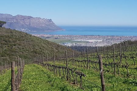 Private Wine Tasting Tour in Constantia, Cape Town