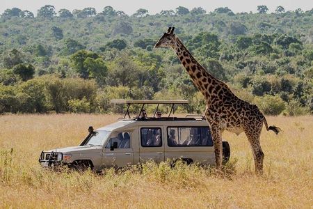 5 Days Budget Joining Adventure Camping Safari
