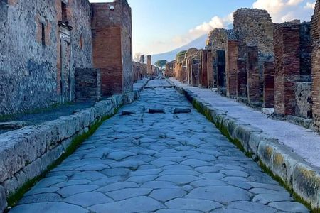 Guided tour of Pompeii 