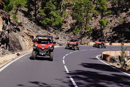 Buggy tour to Teide in Tenerife
