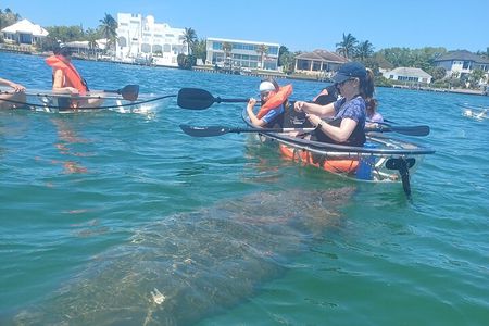 Clear Kayak Glass Bottom Day Tour - Anna Maria Island