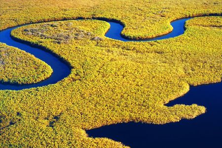 2 Hours Dolphin Eco Tour