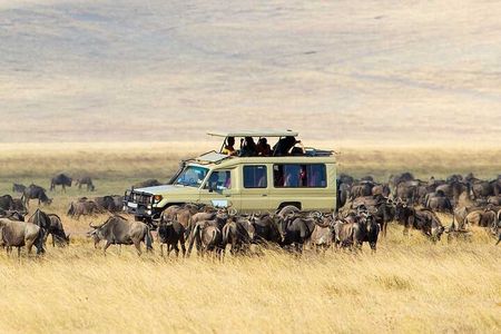 5 Day Mid Range Balloon Safari Tarangire, Ngorongoro & Serengeti