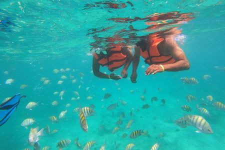 Half-Day Snorkeling Cruise and Natural Pool with Open Bar