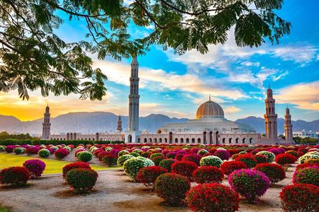 Muscat City Tour from Dubai with Free Visa & Omani Lunch