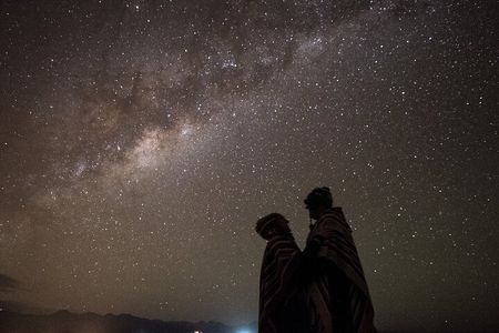 Llama Stargazing Tour