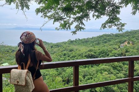 4-Hour Jungle Hike and Waterfall Swim