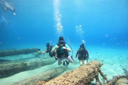 Beginner Scuba Diving Guided Tour - No Experience Required