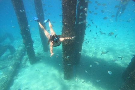 Coral Reef Snorkel Adventure with Photos and Videos
