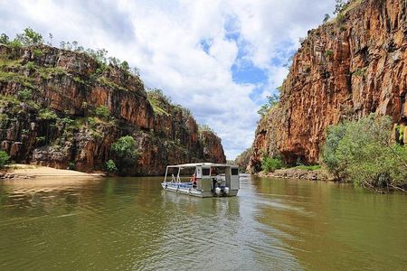 Litchfield Day Tour + Adelaide Croc Cruise