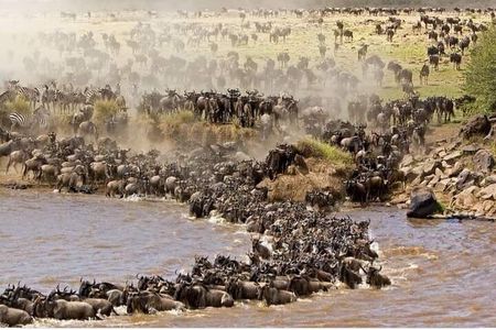 3 Day Maasai Mara Tour