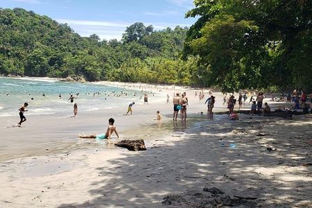 Beach Day in Manuel Antonio National Park from San Jose