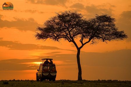 4-Day Private Masai Mara Kenya Safari Tour 