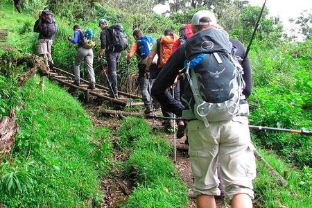 Private Full Day Hiking Experience to Marangu Route
