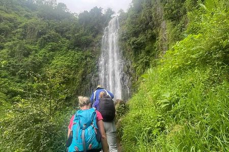 Book Your Materuni Waterfalls & Chemka Hot Springs Day Trip
