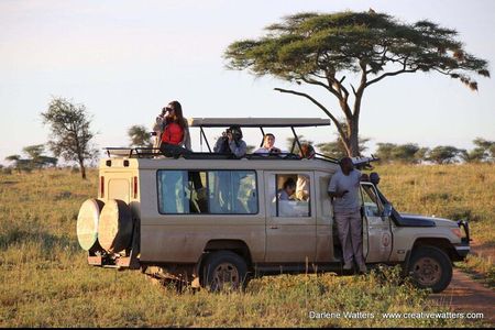 5 Days Serengeti Camping Safari