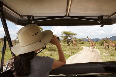 2 days Majestic Tanzania safari Tarangire and Ngorongoro Crater