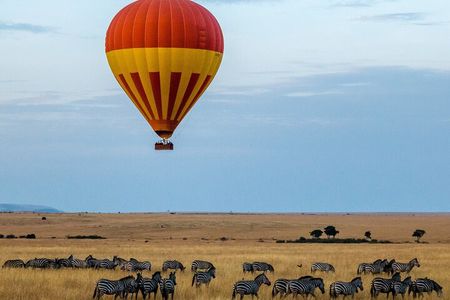 6 Days Private Midrange Tour of Tanzania Safari 