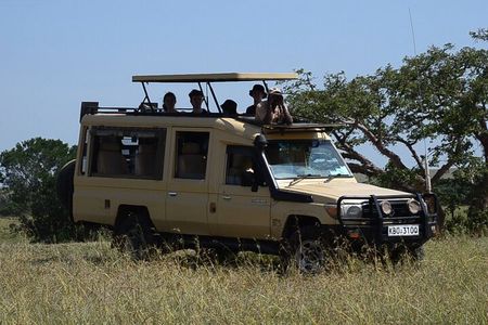  Nairobi Park Wildlife Safari