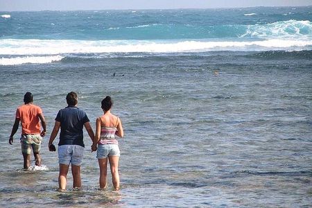 3-Hour Shark Bay and Salt Lakes in Sal Island Guided Tour
