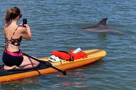 Dolphin and Manatee Adventure tour of Osprey with Florida History