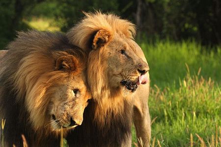 2-Day Hluhluwe Imfolozi and Isimangaliso Wetlands Tour Fro Durban