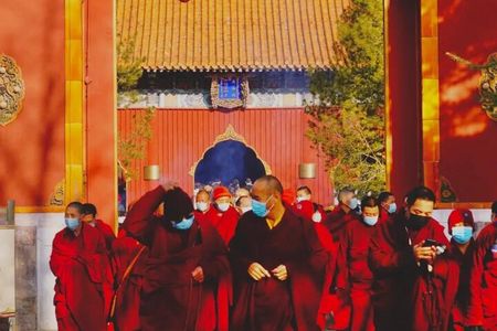 2-Hour Lama Temple and Confucius Temple Guided Walking Tour 