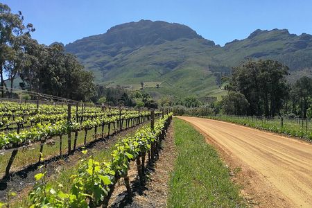 Greatest Wine Tour of the Cape Winelands 