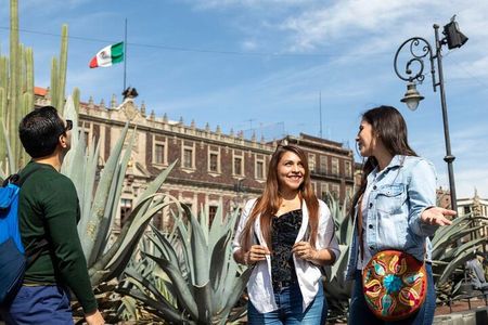 Mexico City Half Day Tour with a Local Guide: 100% Personalized & Private 