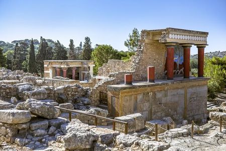Knossos, Olive Grove, Winery - Distillery with Tastings & Lunch 