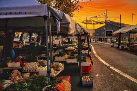 nipaluna (Hobart) Highlights Day Tour