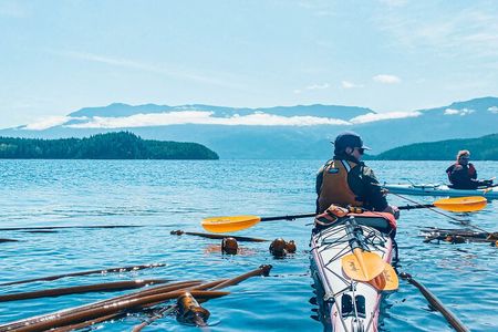 Vancouver Island: Full-Day Kayak Tour from Telegraph Cove 