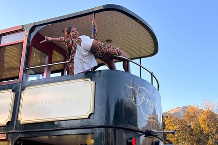 From Cape Town: Franschhoek Wine Tram Hop-on-Hop-off Tour