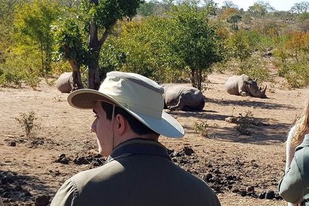 3 Hour Game Drive in Mosi-Oa-Tunya National Park 