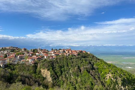Kakheti-Sighnaghi Day Trip with wine tasting and Bodbe Monastery