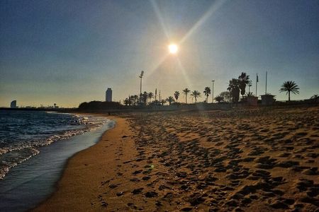 Private Gastronomic Tour in the City of Condal Barcelona