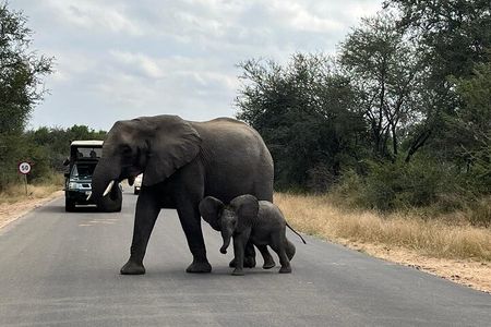 Private Kruger Park Safari and Panorama Route