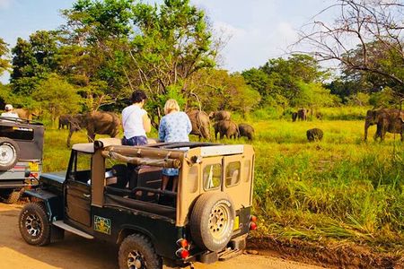 Private Day Trip To Sigiriya Dambulla and Safari From Trincomalee
