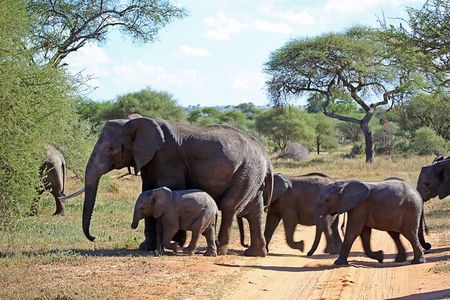 5 Day Garden Route Small Group Tour Fr CapeTown - Departs Mondays
