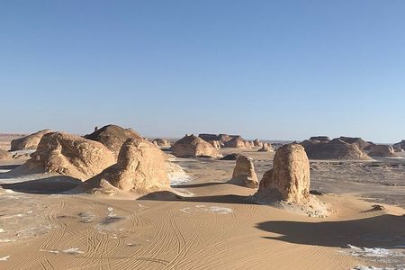 Tour Through White and Black desert Bahareya oasis