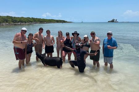 All Inclusive Swimming With The Pigs 