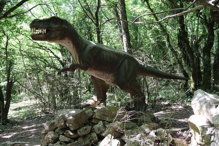 Footprints of the Past:Journey from Kutaisi to Ancient Landscapes