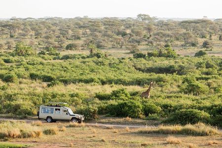 3 Day Essential 4x4 Safari: Manyara, Tarangire & Ngorongoro