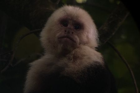 Monteverde semi-private guided tour